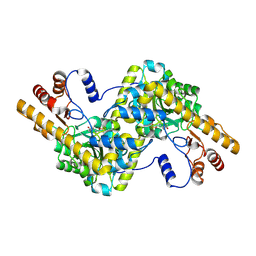 BU of 3fsl by Molmil