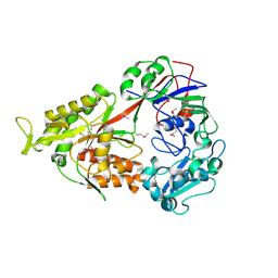 BU of 3fto by Molmil