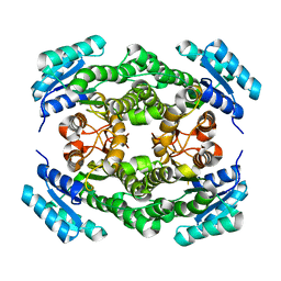 BU of 3ftp by Molmil