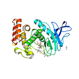 BU of 3fv4 by Molmil