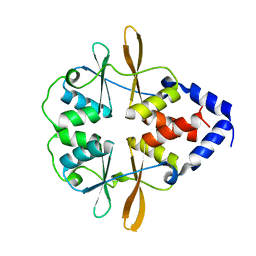 BU of 3fv6 by Molmil