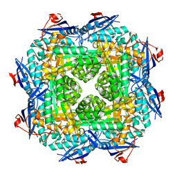 BU of 3fv9 by Molmil