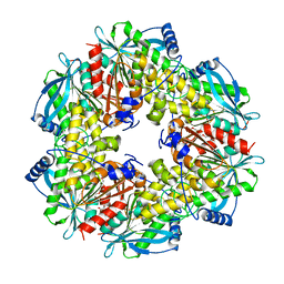 BU of 3fvr by Molmil