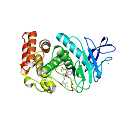 AU of 3fwd by Molmil