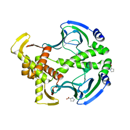 BU of 3fwe by Molmil