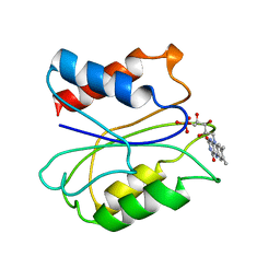 AU of 3fxn by Molmil