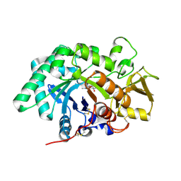 BU of 3fy1 by Molmil