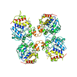 BU of 3fz0 by Molmil