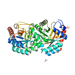 BU of 3g3d by Molmil