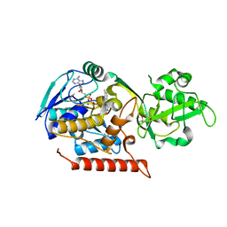 BU of 3g5q by Molmil