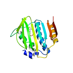 BU of 3g7b by Molmil