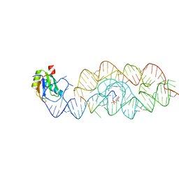 BU of 3g9c by Molmil