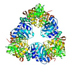 AU of 3gas by Molmil