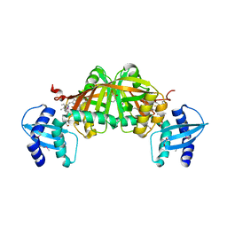 BU of 3gas by Molmil