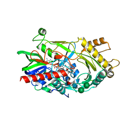 BU of 3gdp by Molmil