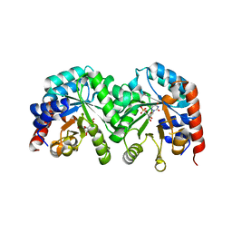 BU of 3gdt by Molmil