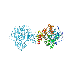 BU of 3gel by Molmil