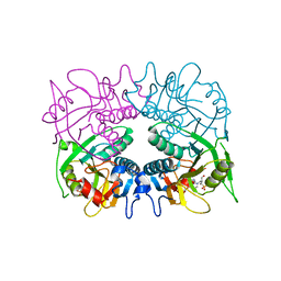 BU of 3gep by Molmil