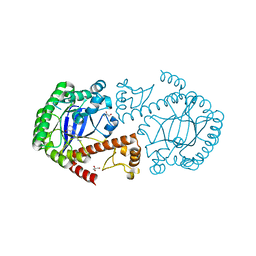 AU of 3gev by Molmil