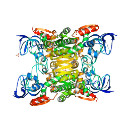 AU of 3gfb by Molmil