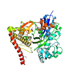BU of 3gg4 by Molmil