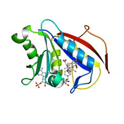 BU of 3gi2 by Molmil