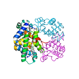 BU of 3gkv by Molmil