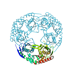 BU of 3gll by Molmil