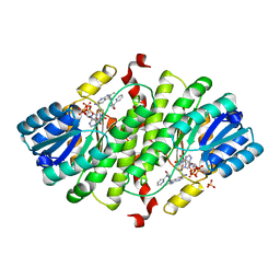 BU of 3gmd by Molmil