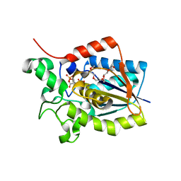 BU of 3gp5 by Molmil