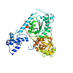 BU of 3gpl by Molmil