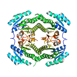 BU of 3grp by Molmil