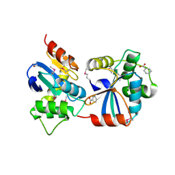 BU of 3gv1 by Molmil