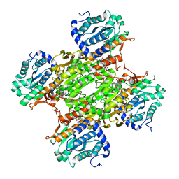 BU of 3gvp by Molmil