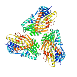 AU of 3h28 by Molmil