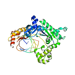 BU of 3h40 by Molmil