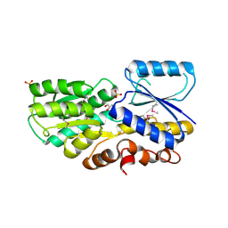 BU of 3h75 by Molmil