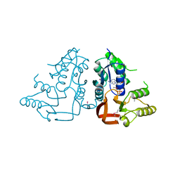 AU of 3h7e by Molmil