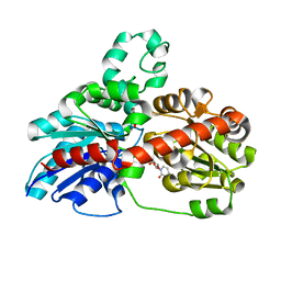 BU of 3hbf by Molmil