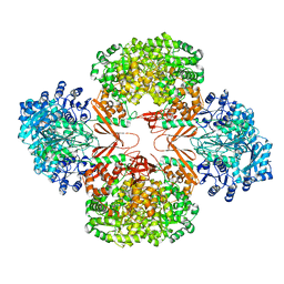 BU of 3hbl by Molmil