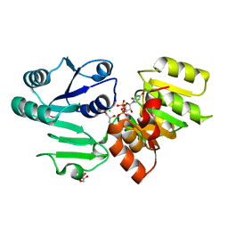 BU of 3hbn by Molmil