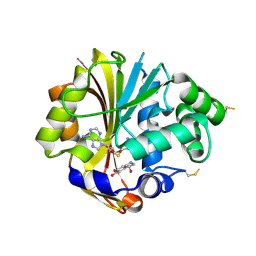 BU of 3hcb by Molmil