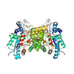 BU of 3hcn by Molmil