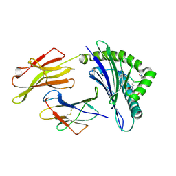 BU of 3hcv by Molmil