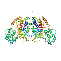 BU of 3hdq by Molmil