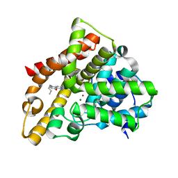 BU of 3hdz by Molmil