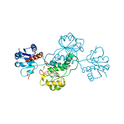 BU of 3hg7 by Molmil