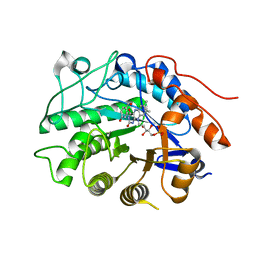 BU of 3hgs by Molmil