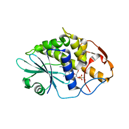 BU of 3hiv by Molmil