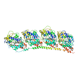 BU of 3hkb by Molmil